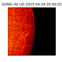 gong - 2025-04-28T05:00:02