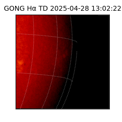 gong - 2025-04-28T13:02:22