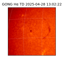 gong - 2025-04-28T13:02:22