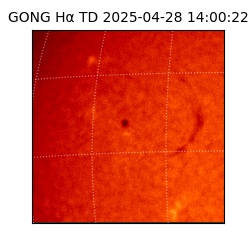 gong - 2025-04-28T14:00:22