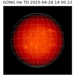 gong - 2025-04-28T14:00:22