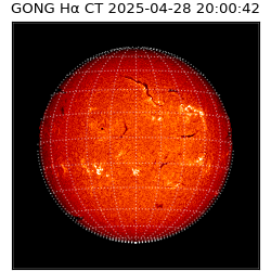 gong - 2025-04-28T20:00:42