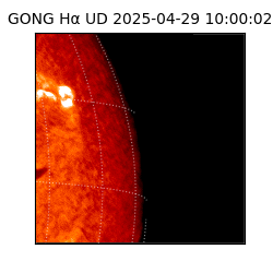 gong - 2025-04-29T10:00:02