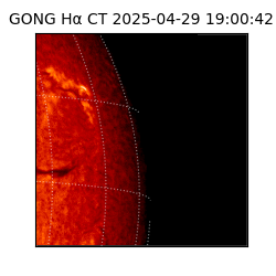 gong - 2025-04-29T19:00:42