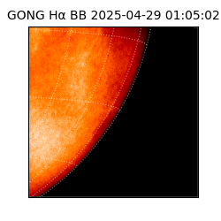 gong - 2025-04-29T01:05:02