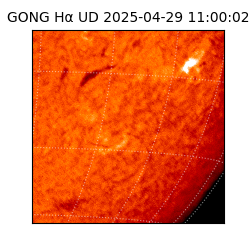 gong - 2025-04-29T11:00:02