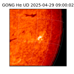gong - 2025-04-29T09:00:02