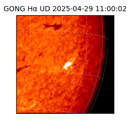 gong - 2025-04-29T11:00:02