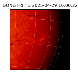 gong - 2025-04-29T16:00:22