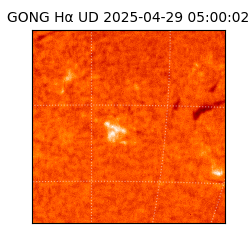 gong - 2025-04-29T05:00:02