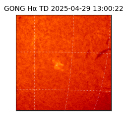 gong - 2025-04-29T13:00:22