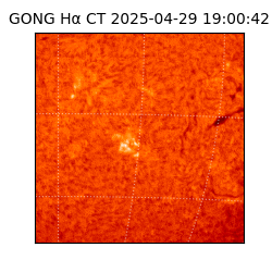 gong - 2025-04-29T19:00:42