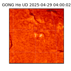 gong - 2025-04-29T04:00:02