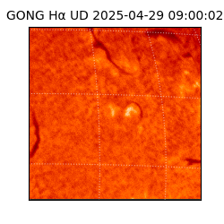 gong - 2025-04-29T09:00:02