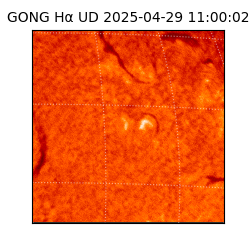 gong - 2025-04-29T11:00:02