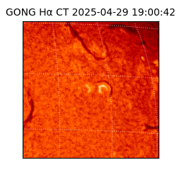 gong - 2025-04-29T19:00:42