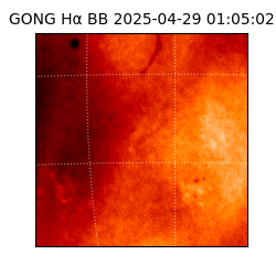gong - 2025-04-29T01:05:02
