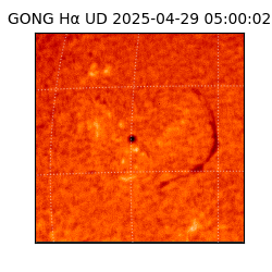 gong - 2025-04-29T05:00:02