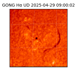 gong - 2025-04-29T09:00:02