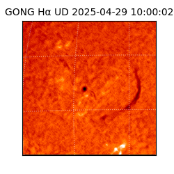 gong - 2025-04-29T10:00:02