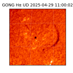gong - 2025-04-29T11:00:02