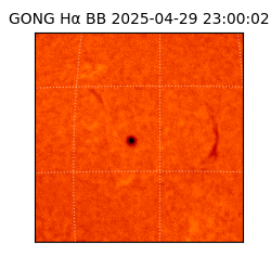gong - 2025-04-29T23:00:02