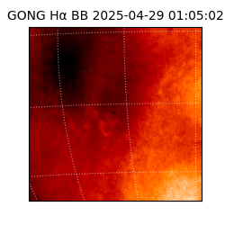 gong - 2025-04-29T01:05:02