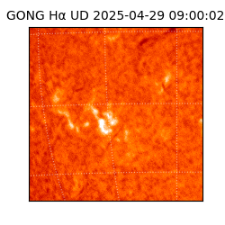 gong - 2025-04-29T09:00:02