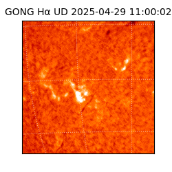gong - 2025-04-29T11:00:02