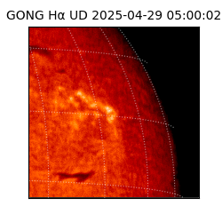 gong - 2025-04-29T05:00:02