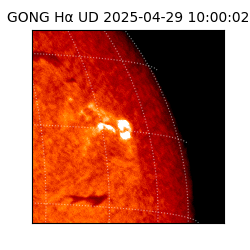 gong - 2025-04-29T10:00:02