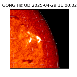 gong - 2025-04-29T11:00:02