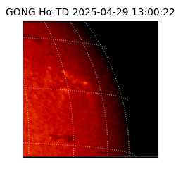 gong - 2025-04-29T13:00:22