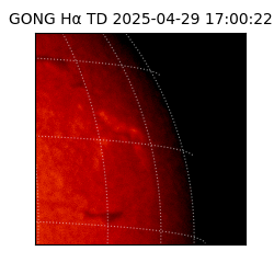 gong - 2025-04-29T17:00:22