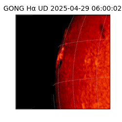 gong - 2025-04-29T06:00:02