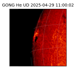 gong - 2025-04-29T11:00:02