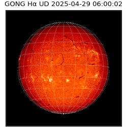 gong - 2025-04-29T06:00:02