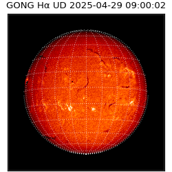 gong - 2025-04-29T09:00:02
