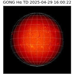 gong - 2025-04-29T16:00:22