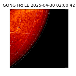 gong - 2025-04-30T02:00:42