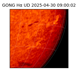 gong - 2025-04-30T09:00:02