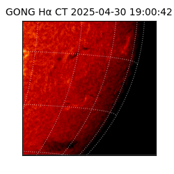 gong - 2025-04-30T19:00:42