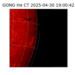 gong - 2025-04-30T19:00:42