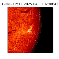 gong - 2025-04-30T02:00:42