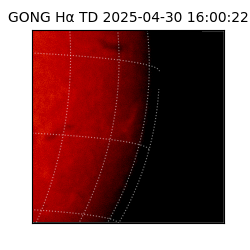 gong - 2025-04-30T16:00:22