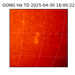 gong - 2025-04-30T16:00:22