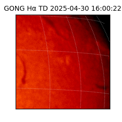 gong - 2025-04-30T16:00:22