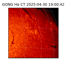 gong - 2025-04-30T19:00:42