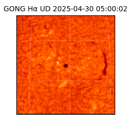 gong - 2025-04-30T05:00:02