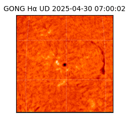 gong - 2025-04-30T07:00:02